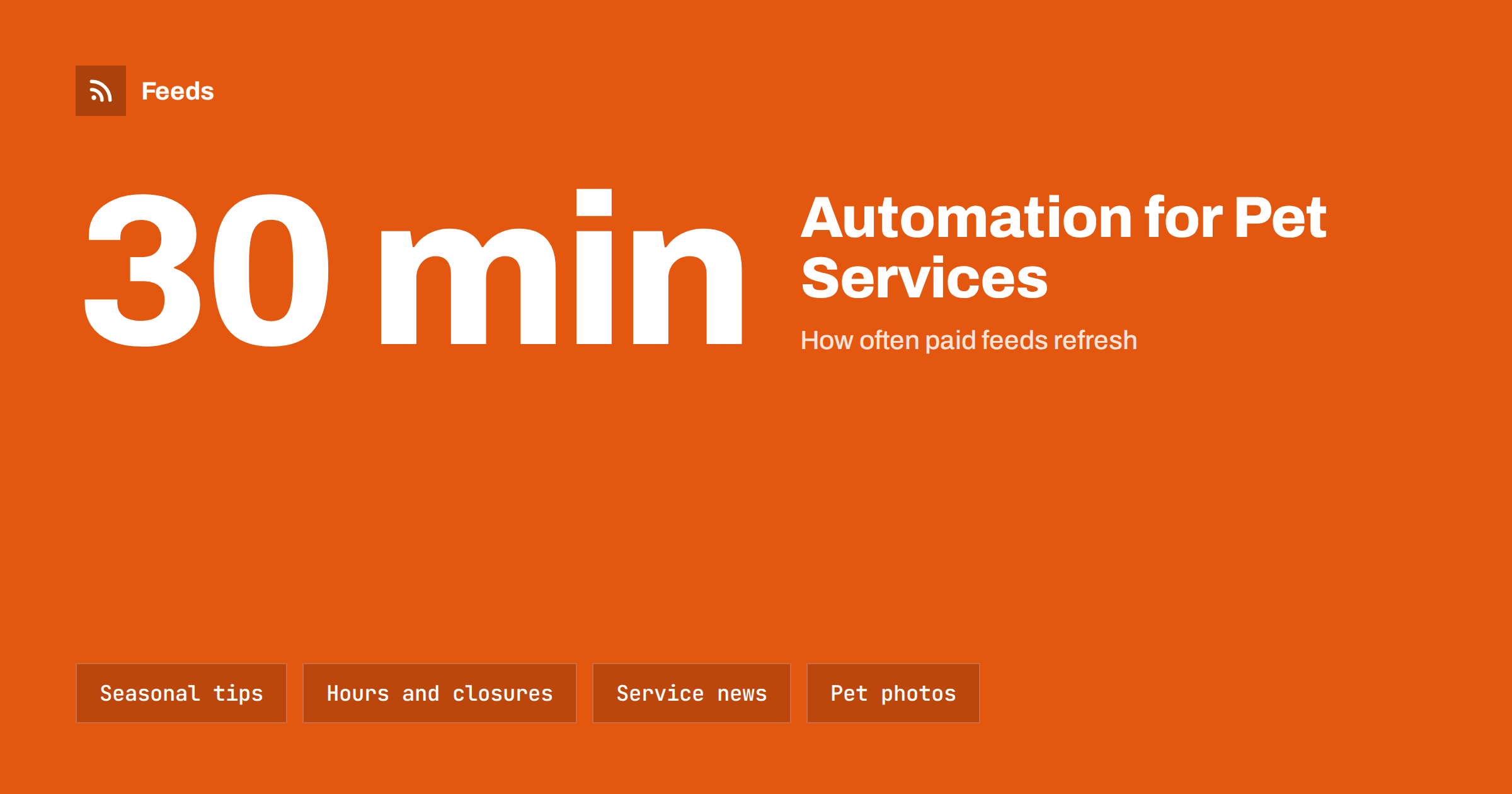 Content Automation for Veterinary Clinics and Pet Services